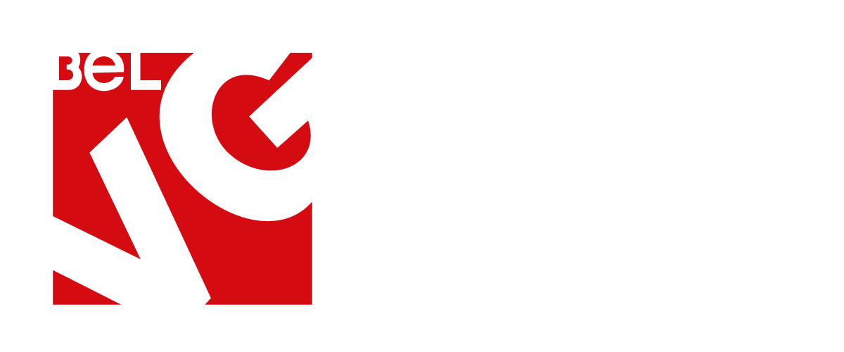 BelVG Magento Development